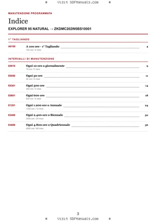 Manutenzione programmata: EXPLORER 95 NATURAL → ZKDMC202W0BS10001 – maintenance schedule sample