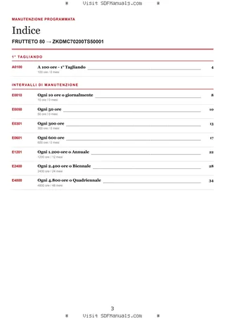 Manutenzione programmata: FRUTTETO 80 → ZKDMC70200TS50001 – maintenance schedule sample