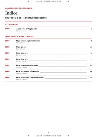 Manutenzione programmata: FRUTTETO S 80 → ZKDMD50200TS50001 – maintenance schedule sample