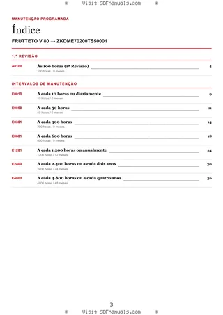 Manutenção programada: FRUTTETO V 80 → ZKDME70200TS50001 – maintenance schedule sample