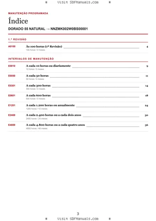 Manutenção programada: DORADO 55 NATURAL → NNZMK002W0BS00001 – maintenance schedule sample