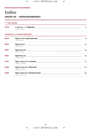 Manutenzione programmata: ARGON 100 → NNZML902W0BS00001 – maintenance schedule sample