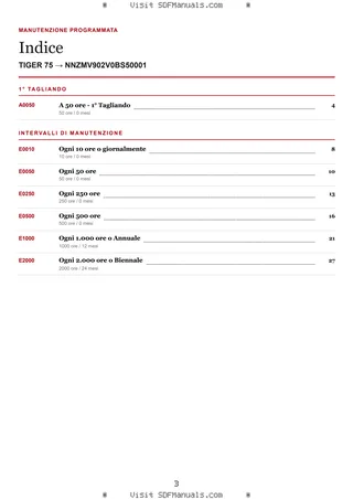 Manutenzione programmata: TIGER 75 → NNZMV902V0BS50001 – maintenance schedule sample