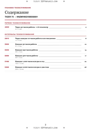Плановое техобслуживание: TIGER 75 → NNZMV902V0BS50001 – maintenance schedule sample
