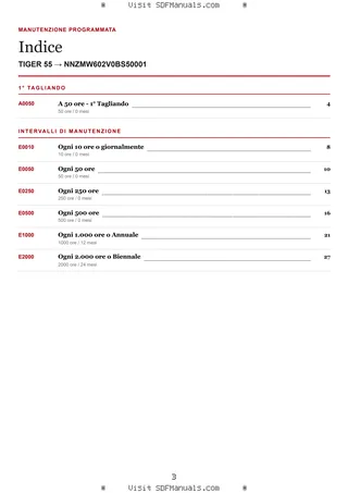 Manutenzione programmata: TIGER 55 → NNZMW602V0BS50001 – maintenance schedule sample