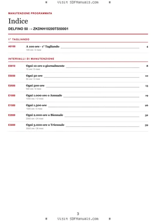 Manutenzione programmata: DELFINO 50 → ZKDNH10200TS50001 – maintenance schedule sample