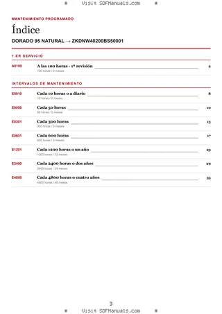 Mantenimiento programado: DORADO 95 NATURAL → ZKDNW40200BS50001 – maintenance schedule sample