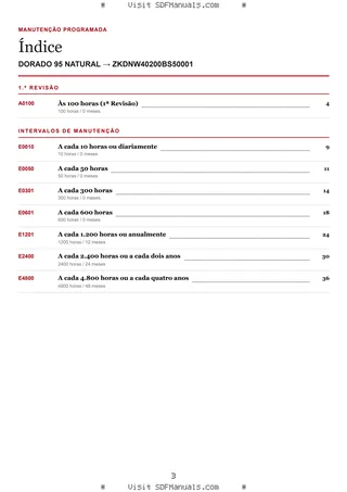 Manutenção programada: DORADO 95 NATURAL → ZKDNW40200BS50001 – maintenance schedule sample