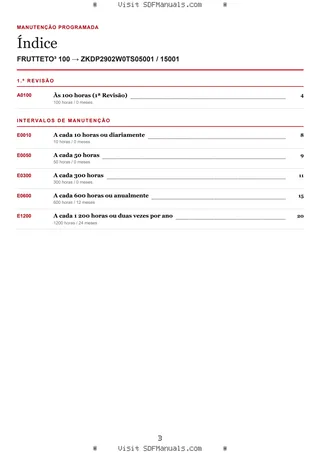 Manutenção programada: FRUTTETO³ 100 → ZKDP2902W0TS05001 / 15001 – maintenance schedule sample