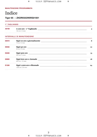 Manutenzione programmata: Tiger 65 → ZKDR9302W0RS01001 – maintenance schedule sample