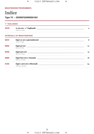 Manutenzione programmata: Tiger 75 → ZKDR9702W0RS01001 – maintenance schedule sample