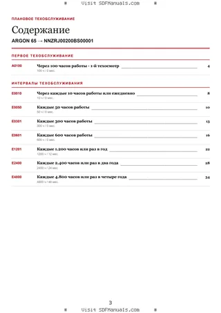 Плановое техобслуживание: ARGON 65 → NNZRJ00200BS00001 – maintenance schedule sample