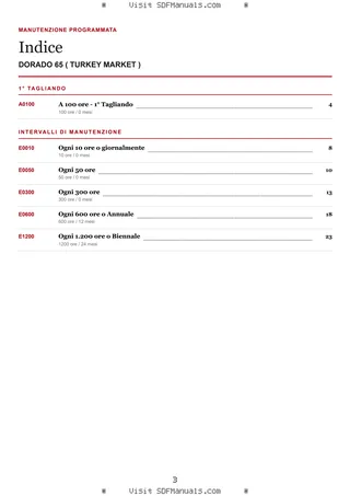 Manutenzione programmata: DORADO 65 ( TURKEY MARKET ) – maintenance schedule sample