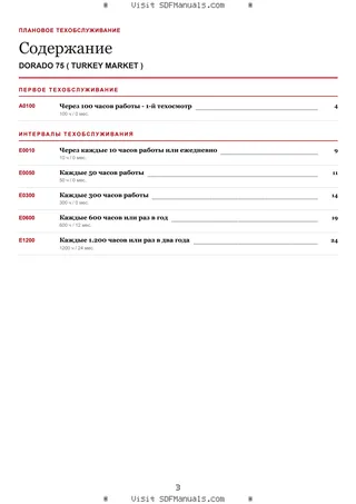 Плановое техобслуживание: DORADO 75 ( TURKEY MARKET ) – maintenance schedule sample
