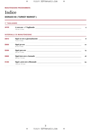 Manutenzione programmata: DORADO 80 ( TURKEY MARKET ) – maintenance schedule sample