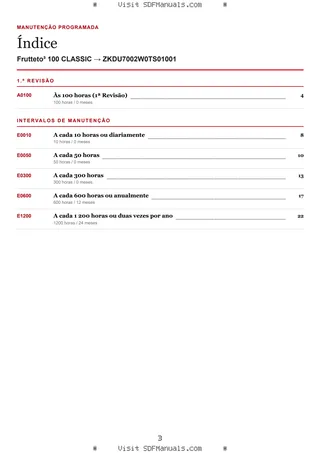 Manutenção programada: Frutteto³ 100 CLASSIC → ZKDU7002W0TS01001 – maintenance schedule sample