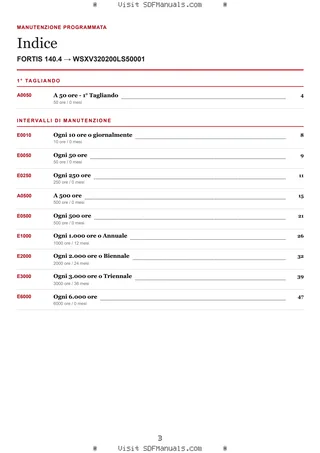Manutenzione programmata: FORTIS 140.4 → WSXV320200LS50001 – maintenance schedule sample