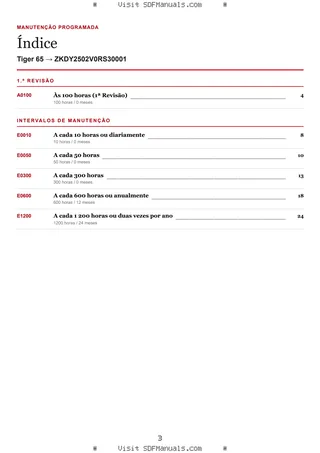 Manutenção programada: Tiger 65 → ZKDY2502V0RS30001 – maintenance schedule sample