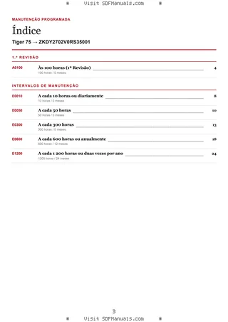 Manutenção programada: Tiger 75 → ZKDY2702V0RS35001 – maintenance schedule sample