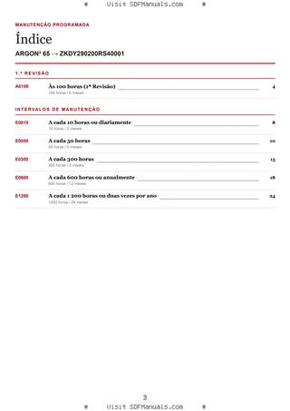Manutenção programada: ARGON³ 65 → ZKDY290200RS40001 – maintenance schedule sample