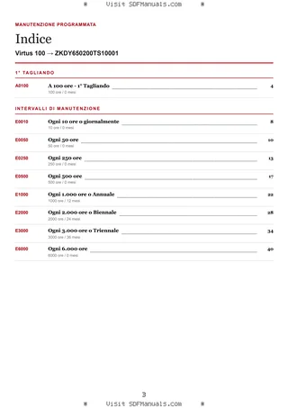 Manutenzione programmata: Virtus 100 → ZKDY650200TS10001 – maintenance schedule sample