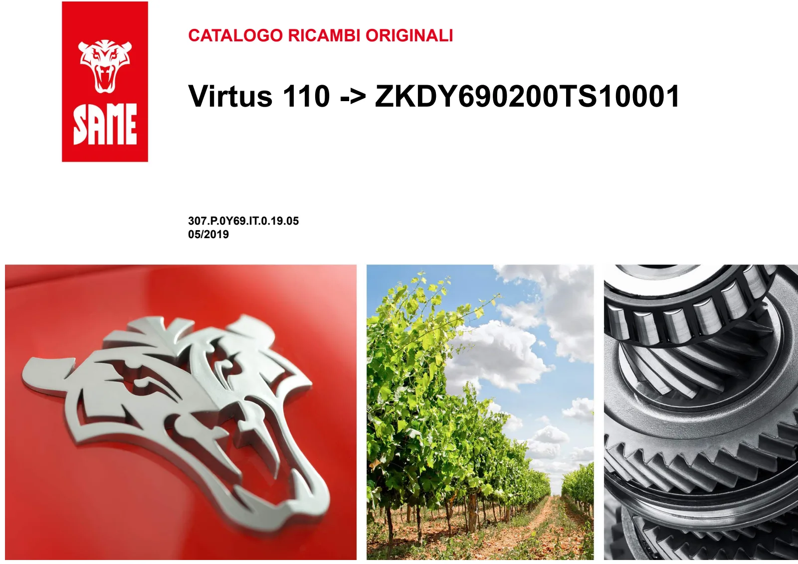 Catalogo ricambi: Virtus 110 → ZKDY690200TS10001