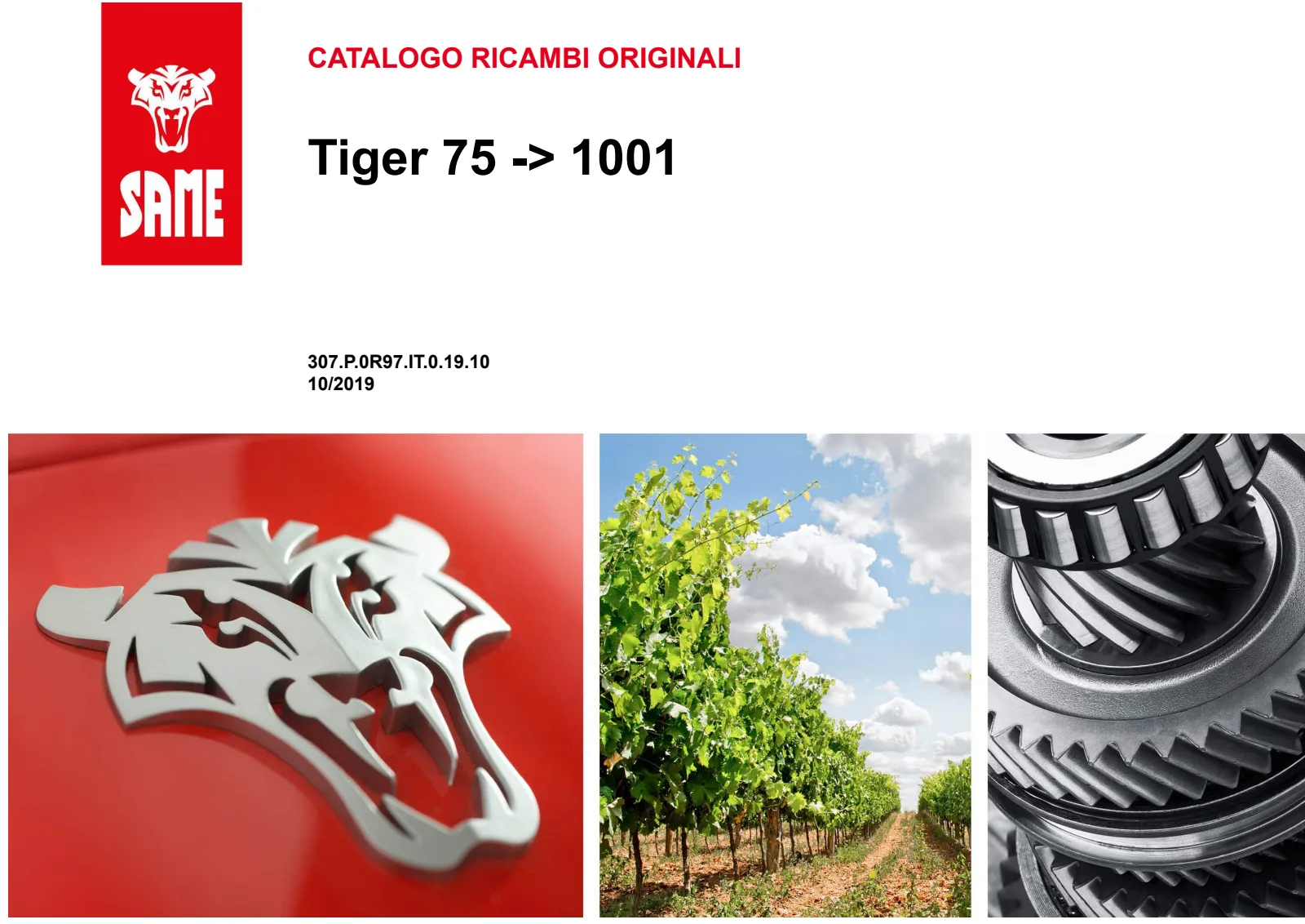 Catalogo ricambi: Tiger 75 → ZKDR9702W0RS01001