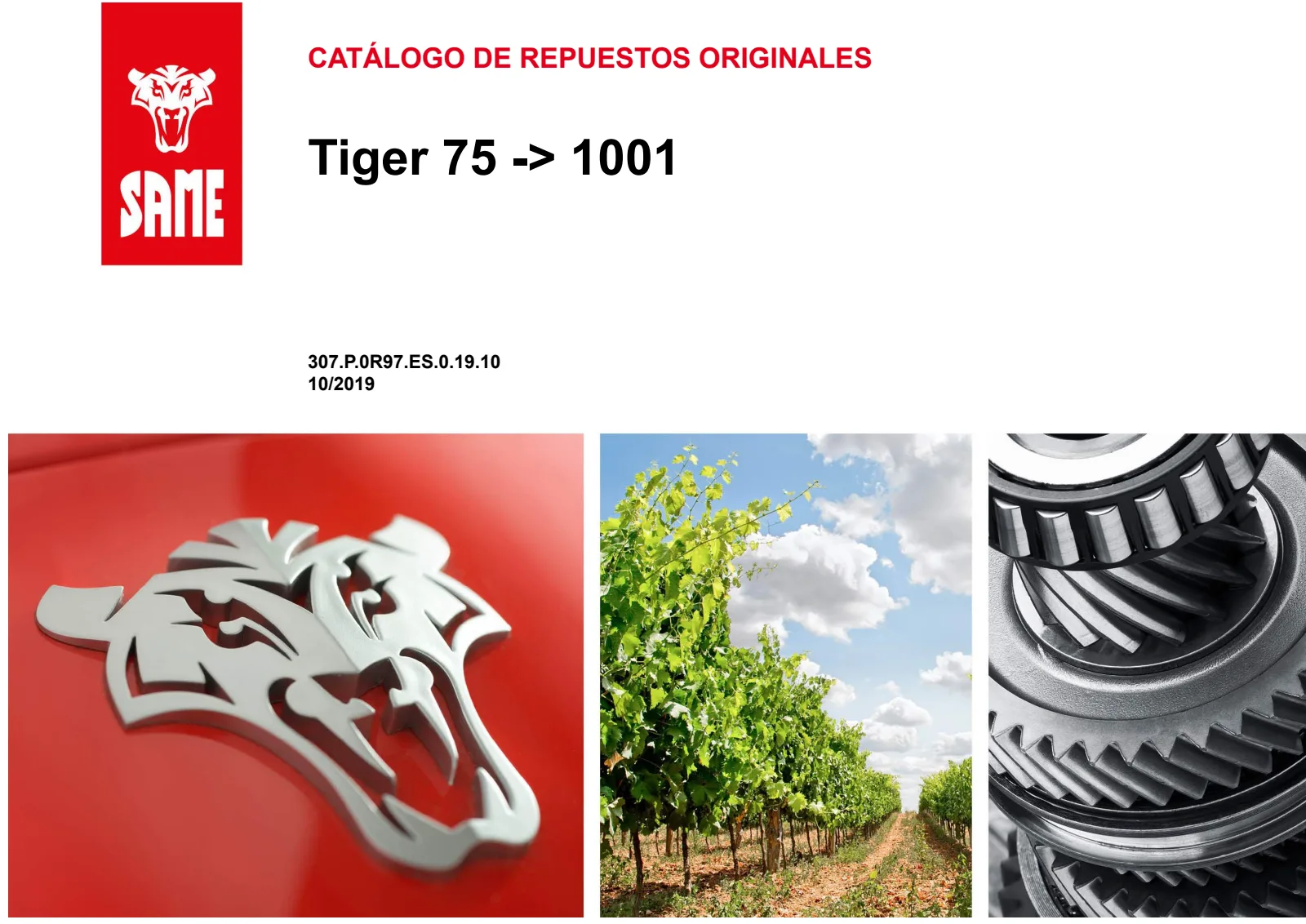 Catálogo de repuestos: Tiger 75 → ZKDR9702W0RS01001