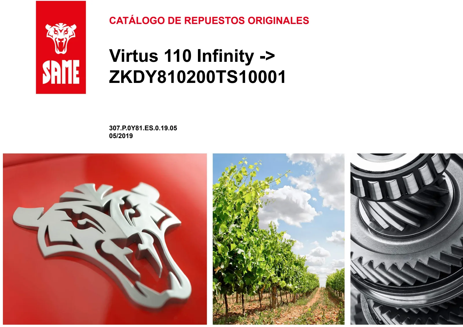 Catálogo de repuestos: Virtus 110 Infinity → ZKDY810200TS10001
