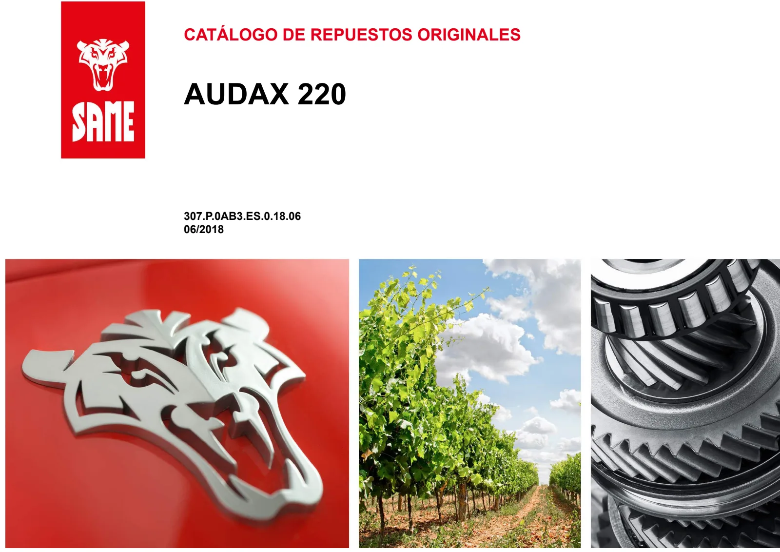 Catálogo de repuestos: AUDAX 220 → WSXAB30200LS50001