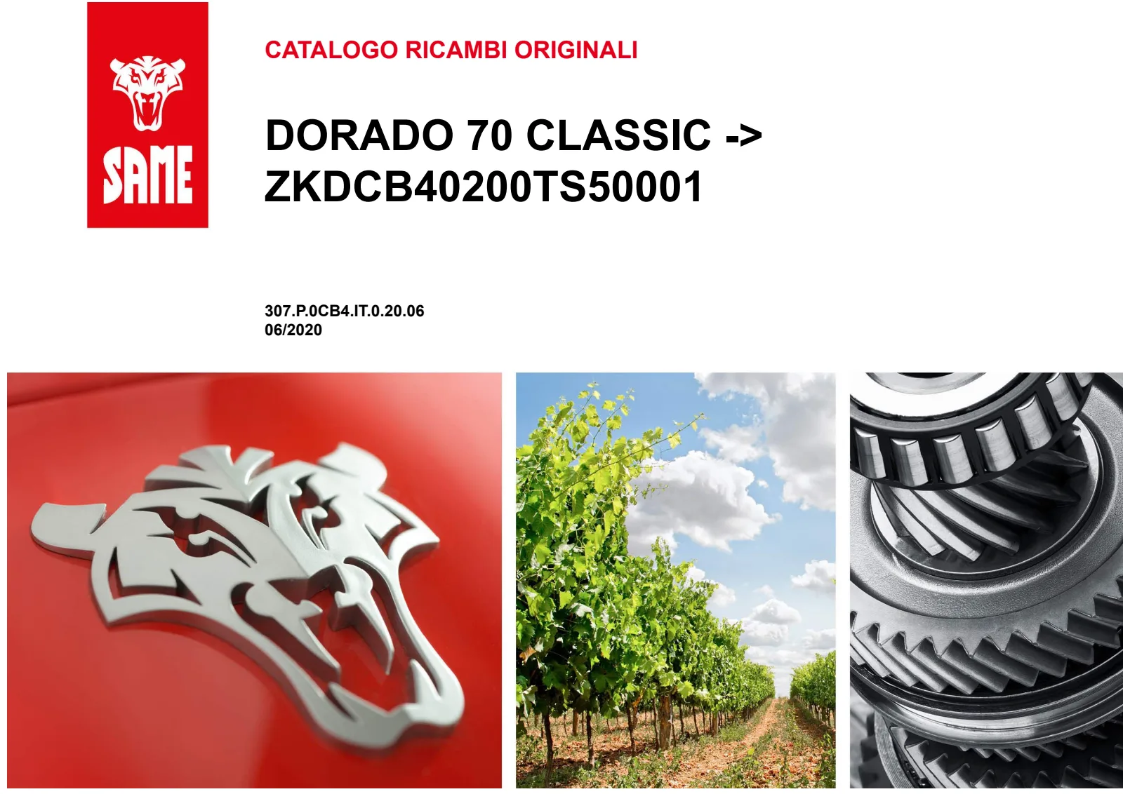 Catalogo ricambi: DORADO 70 CLASSIC → ZKDCB40200TS50001