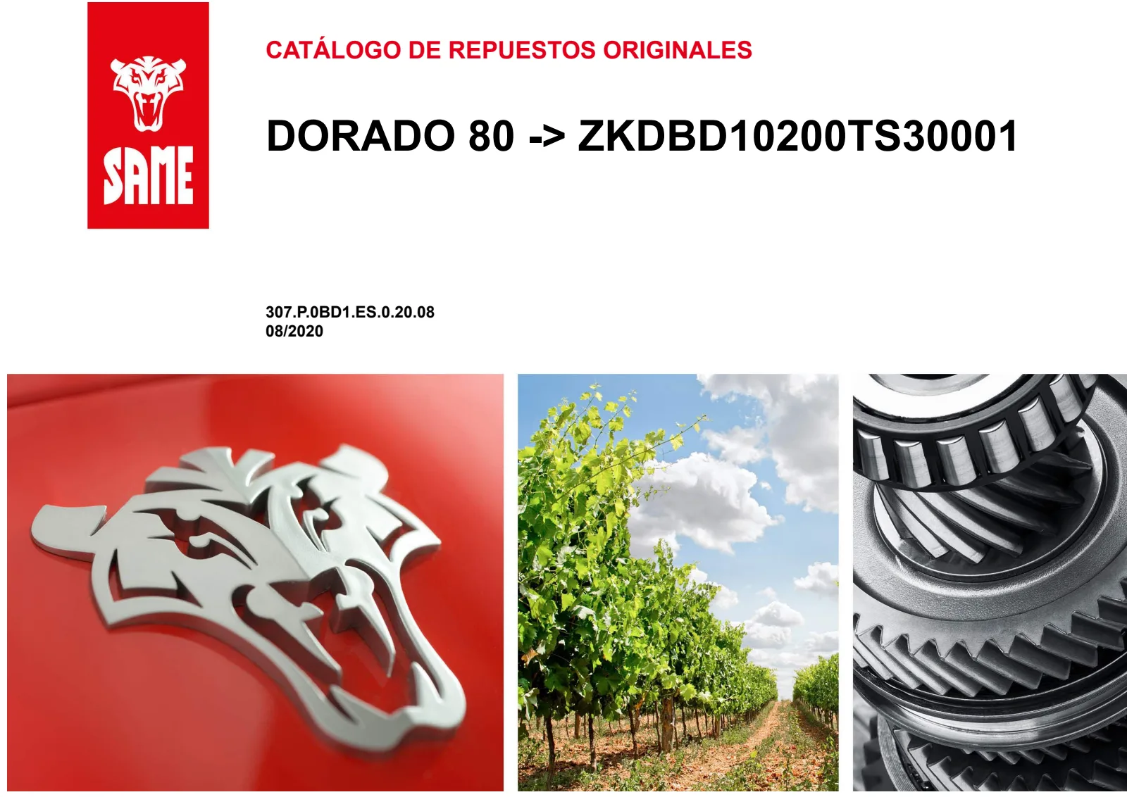 Catálogo de repuestos: DORADO 80 → ZKDBD10200TS30001