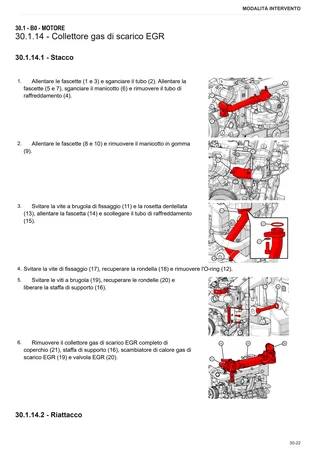 Manuale d'officina: TIGER 80.4 E → S10S714WT1E40001 – sample manual page 1