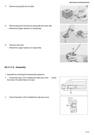 Workshop Manual: SOLARIS 55 → ZKDAJ30200MS30001 – sample manual page 3