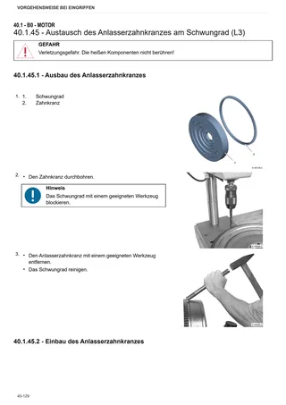 Werkstatthandbuch: FORTIS 190 → WSXAU40200LS50010 – sample manual page 2