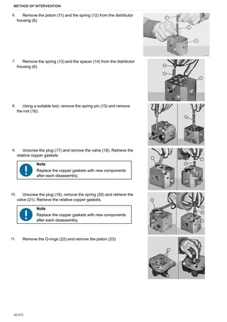 Workshop Manual: FRUTTETO 90.4 → ZKDBL30200TS10001 – sample manual page 2