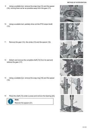 Workshop Manual: FRUTTETO 100 → ZKDDY60200TS10001 – sample manual page 1