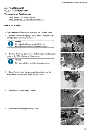 Werkstatthandbuch: DELFINO 60 → ZKDFU50200MS50001 – sample manual page 3