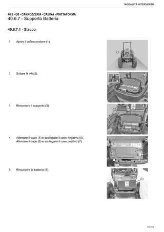 Manuale d'officina: TIGER 55 Compact → M1THB202V0RS10001 – sample manual page 3