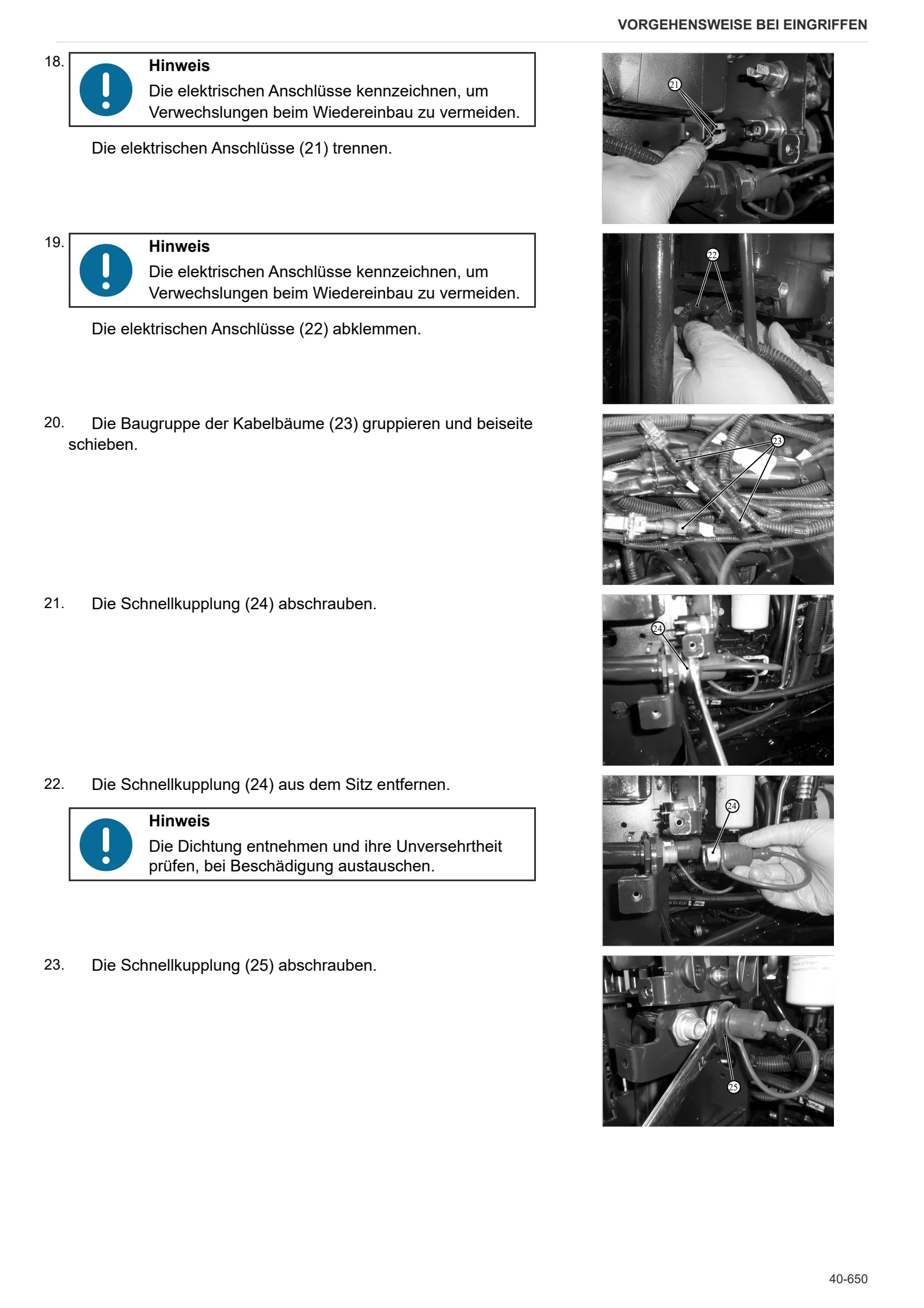 Werkstatthandbuch: DORADO CVT 95 → ZKDHT20200TS50001 – sample manual page 4