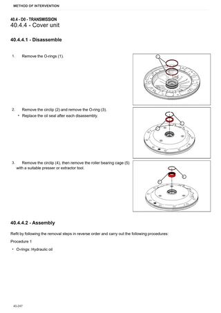 Workshop Manual: FRUTTETO PRO 100 → ZKDJG90200TS50001 – sample manual page 2