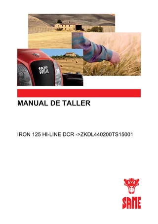 Manual de taller: IRON 125 HI-LINE DCR → ZKDL440200TS15001 – manual cover