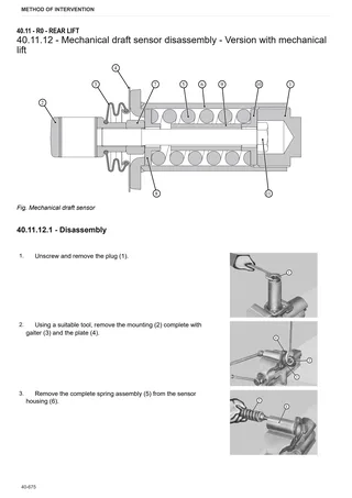 Workshop Manual: FRUTTETO 80 CLASSIC → ZKDLP00200TS50001 – sample manual page 3