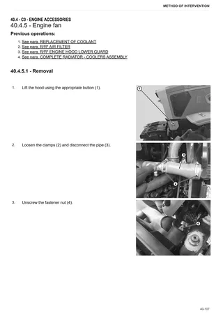 Workshop Manual: TIGER 45 → NNZMW402V0BS50001 – sample manual page 2