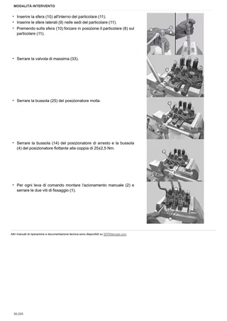 Manuale d'officina: TIGER 75.4 E → S10S714WT1E10001 – sample manual page 3