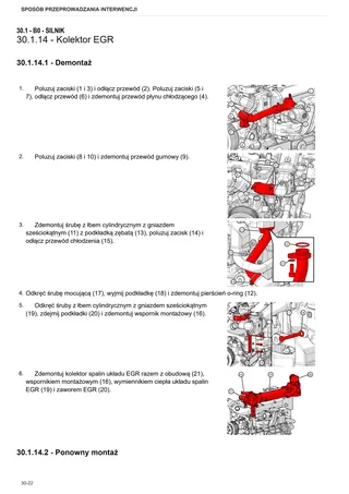 Instrukcja warsztatowa: TIGER 75.4 E → S10S714WT1E10001 – sample manual page 1