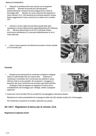 Manuale d'officina: Tiger 75 → ZKDR9702W0RS01001 – sample manual page 2