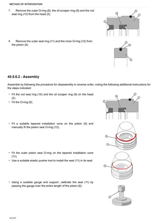 Workshop Manual: DORADO 55 ( TURKEY MARKET ) – sample manual page 2